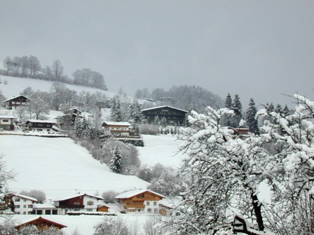 Niederau Web Cam